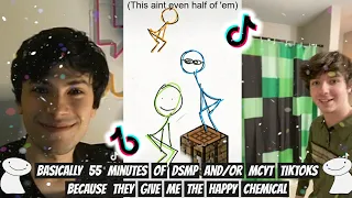 Basically 55 Minutes of DSMP and/or MCYT related TikToks because they give me the happy chemical!