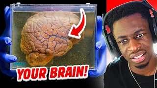 13 THEORIES THAT WILL BLOW YOUR MIND!