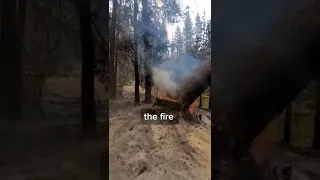 The tree is burning from the inside out