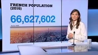 Population studies: France's 'ethnicity' taboo