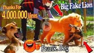 Big Fake Lion vs Prank Dogs - Must Watch Funny Video Will Make You Loughct 2023