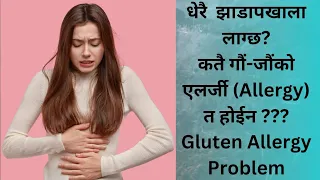 झाडापखाला होईन गौं-जौं को Allergy हुन सक्छ तपाईलाई। थप जान्न सोही Allergy का अनुसन्धानकर्ताबाट सुनौं