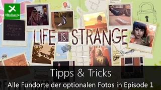 XBoxUser.de - Life is Strange: Alle optionalen Fotos der ersten Episode (Visionary achievement)