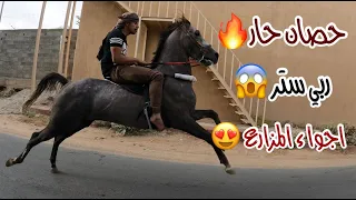 # فلوق (13) ركوبي انا والشباب في المزارع ولايفوتكم تربيع الشبب😍👍