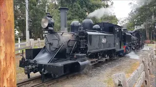 Puffing Billy 2 February 2024