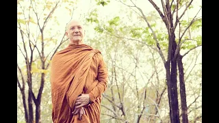 Ease of Contentment | Ajahn Pasanno