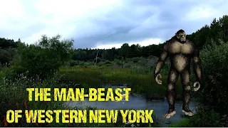 Bigfoot in Niagara, Chautauqua, & Cattaraugus - The Man Beast of Western New York (Part 2)