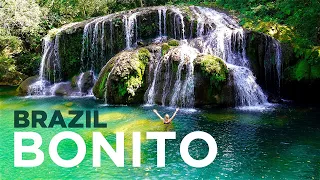 BONITO, BRAZIL: Travel Guide to Waterfalls, Parrots, BLUE CAVE & BEST JUNGLE