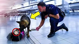 Dog Suddenly Runs To Suitcase. Officers Open It And Discover Something Unthinkable