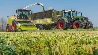 Grass Silage with Claas Jaguar 940 / Van Spijkeren / Gras hakselen / 2022