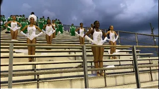 Peabody Magnet High School Marching Band & “S9” Pegasus - Fight Song (2020)