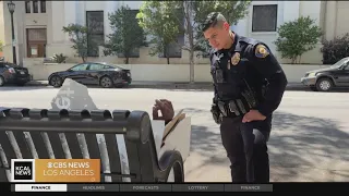 A day in the life of a Pasadena police officer