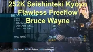 252K Seishinteki Kyoyo: Bruce Wayne: 3 Medals: Initiation DLC - Batman Arkham Origins