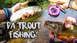 Allegheny National Forest Trout Fishing!