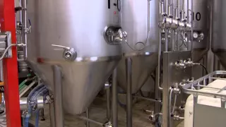 Cómo se hace la cerveza