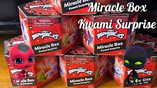 Miraculous Miracle Box Kwami Surprise Unboxing | Miraculous Ladybug #miraculous #miraculousladybug