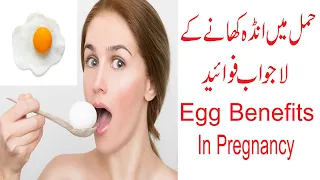 eggs in pregnancy / eggs during pregnancy/ pregnancy /Is it safe to eat Eggs in Pregnancy