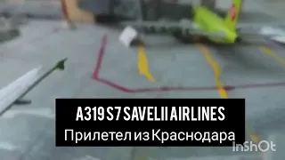 Перелёт а/к S7 Savelii Airlines Airbus A320. По маршруту Савелий - Санкт-Петербург