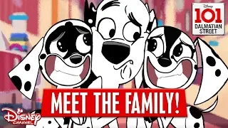 MEET THE FAMILY! |  101 Dalmatian Street | Disney Channel Africa