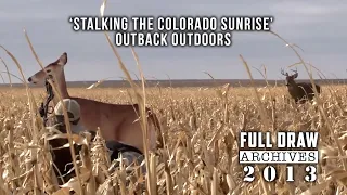Spot and Decoy Whitetails 'Outback Outdoors' Full Draw Archives 2013