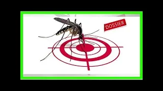 Pourquoi les moustiques piquent certaines personnes plus que d’autres ?