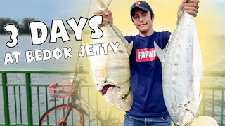 3 Days at Bedok Jetty | Catching HUGE Queenfish | Fishing in Singapore | Yumada Fishing