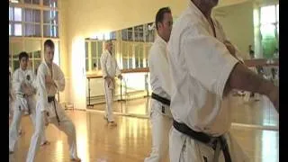 The Art Of Shotokan.wmv