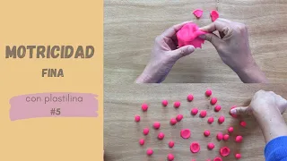 Desarrollo de motricidad fina con plastilina #5.