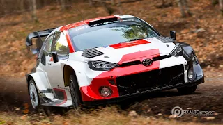 WRC Rallye Monte-Carlo | Best of Insane Flat Out Speed | Full HD