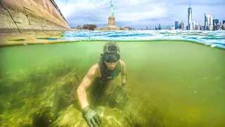 Scuba Diving NYC: Uncovering Underwater Secrets in the Big Apple!