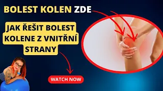 3.díl CO DĚLAT KDYŽ KOLENO BOLÍ Z VNITŘNÍ STRANY NEBO ZEPŘEDU #pohyb #fyzioterapie #pavlamodra