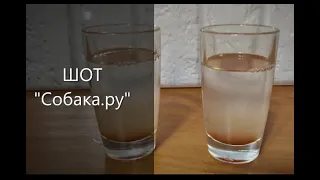 ШОТ С ВОДКОЙ "Собака.ру"