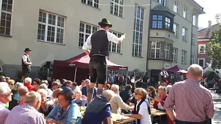 Тирольско-баварские танцы с кнутом:)