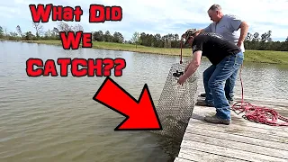 What Did We Catch In The Homemade Fish Trap?