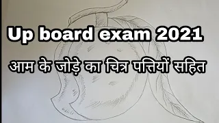 आम के जोड़े का चित्र ||  10th Class Drawing|| How to draw Mango pair for board exam 2023.