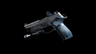 Sig P226 Legion the King