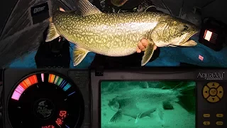 Smacking Lake Trout - Tricks & Toys - Northern Manitoba