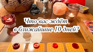 ЧТО ВАС ЖДЁТ В БЛИЖАЙШИЕ 10 ДНЕЙ?