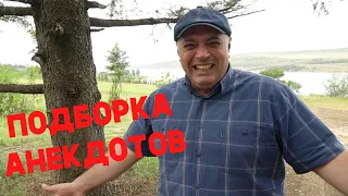 Вовочка забухал. Анекдот смешной!