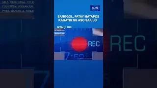 Sanggol, patay matapos kagatin ng aso sa ulo #shorts | Saksi