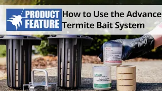 How to Use the Advance Termite Bait System to Prevent Termites | DoMyOwn.com