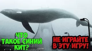 🐋 ЧТО ЗНАЧАТ СЛОВА СИНИЙ КИТ, МОРЕ КИТОВ,РАЗБУДИ В 4.20 #ЯВИГРЕ F57 Тихий Дом