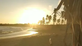 рассмотри рассвет в Доминикане