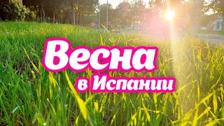 Весна в Испании (март) #испания