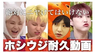 【SEVENTEEN(세븐틴)】ホシウジまとめちゃいました。【日本語字幕】