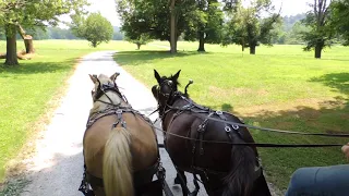 Blennerhassett Island West Virginia Horse and Buggy Ride