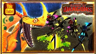 School of Dragons 🏆 Dragons Turnir ▶ Гонка №1