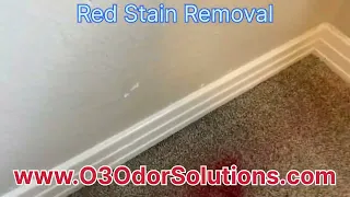 Removing Red Stains On Carpet.  ( Covington,La )