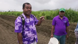 MDF AGLIME & ACID - Regenerating Fiji's soil fertility