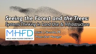 Seeing the Forest and the Trees:  Systems Thinking in Land Use and Infrastructure